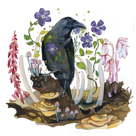 Carrion’s Bounty // 2025 // Watercolor and Gouache on Cotton Paper // 8x8”